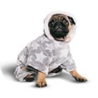 Одежда, обувь и аксессуары для собак