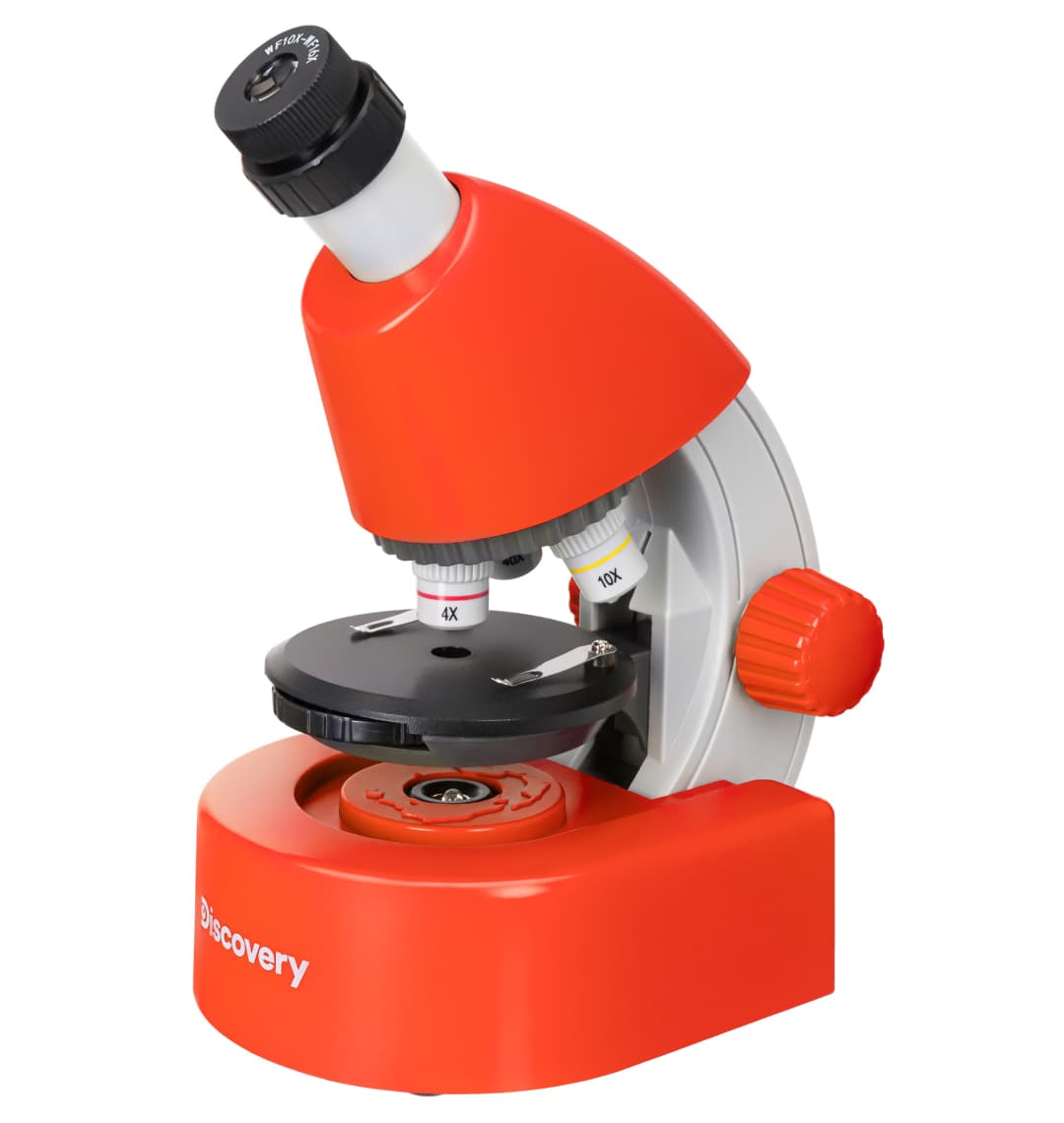 Микроскоп Levenhuk Discovery Micro Terra с книгой